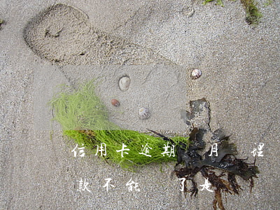 信用卡逾期倆月辦理車貸(信用卡逾期汽車貸款不能辦了是嗎?)