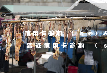 信用卡逾期個(gè)人征信報(bào)告(征信用卡逾期說(shuō)明)
