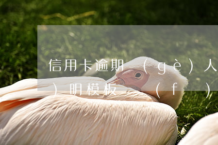 信用卡逾期個(gè)人情況說(shuō)明模板廣發(fā)-怎么寫(xiě)信用卡逾期情況說(shuō)明