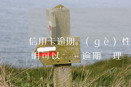 信用卡逾期個(gè)性化分期不開困難證明可以嗎-逾期辦理個(gè)性化分期需要什么證明