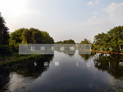 信用卡逾期個(gè)性化分期要先還(信用卡逾期個(gè)性化分期要先還利息嗎)