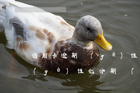 信用卡逾期個(gè)性化分期還款影響(個(gè)性化分期 會(huì)影響其他信用卡嗎)