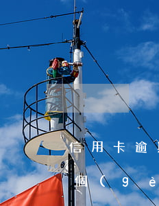 信用卡逾期個(gè)性化還款(信用卡逾期個(gè)性化還款申請(qǐng)書(shū)怎么寫(xiě))