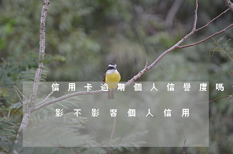 信用卡逾期個人信譽度嗎(信用卡逾期三天了影不影響個人信用)