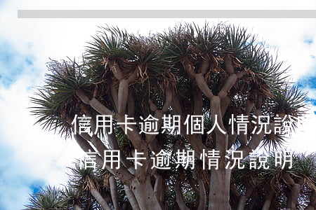 信用卡逾期個人情況說明模板花旗-怎么寫信用卡逾期情況說明
