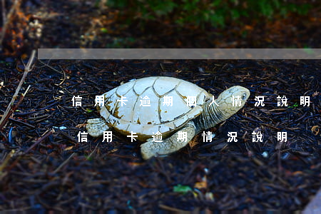 信用卡逾期個人情況說明范本上海-怎么寫信用卡逾期情況說明