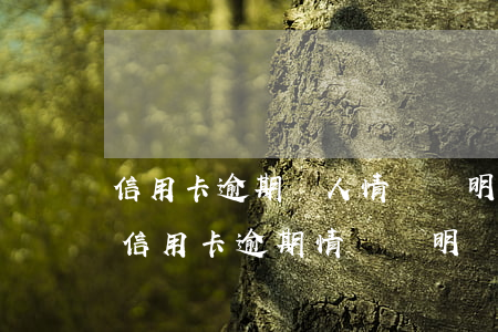 信用卡逾期個人情況說明范本中國-怎么寫信用卡逾期情況說明