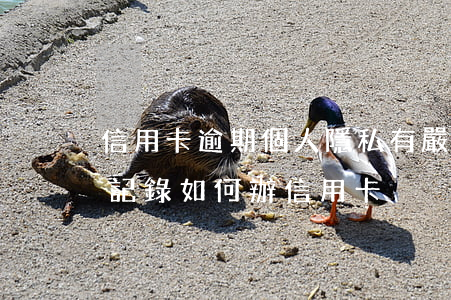 信用卡逾期個人隱私(有嚴(yán)重逾期記錄如何辦信用卡)