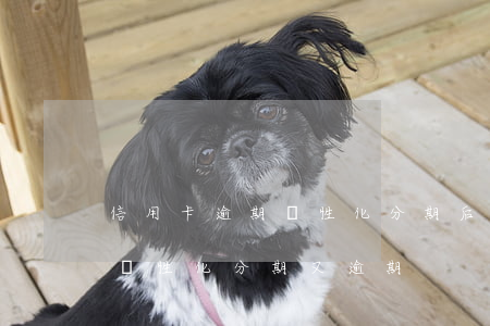信用卡逾期個性化分期后有還不起了咋辦-個性化分期又逾期