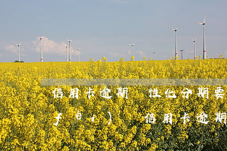 信用卡逾期個性化分期要手續(xù)費(fèi)嗎(信用卡逾期個性化分期要手續(xù)費(fèi)嗎上海)