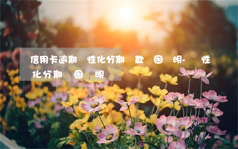 信用卡逾期個性化分期還款貧困證明-個性化分期 貧困證明