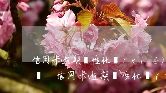 信用卡逾期個性化協(xié)商需要多少錢-信用卡逾期個性化協(xié)商需要多少錢一次