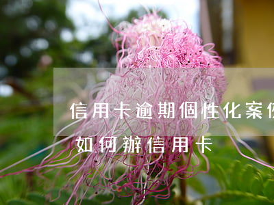 信用卡逾期個性化案例分享(有嚴重逾期記錄如何辦信用卡)