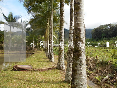 信用卡逾期借不上錢怎么辦