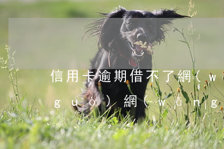 信用卡逾期借不了網(wǎng)貸(借過(guò)網(wǎng)貸逾期可以辦信用卡嗎)