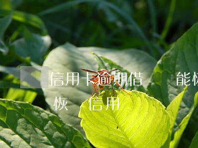 信用卡逾期借唄還能恢復嗎(借唄逾期了怎么恢復信用)