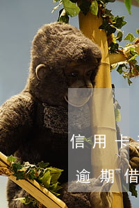 信用卡逾期借唄還開(kāi)通嗎 信用卡逾期借唄還開(kāi)通嗎