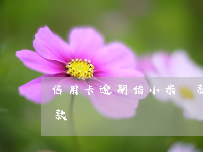 信用卡逾期借小米貸款(信用卡逾期借小米貸款)