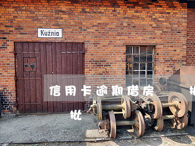 信用卡逾期借房貸給批嗎(信用卡欠款房貸給審批嗎)
