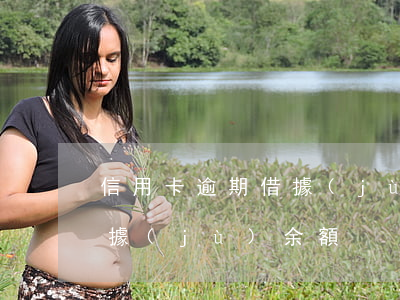 信用卡逾期借據(jù)余額(信用卡逾期借據(jù)余額)