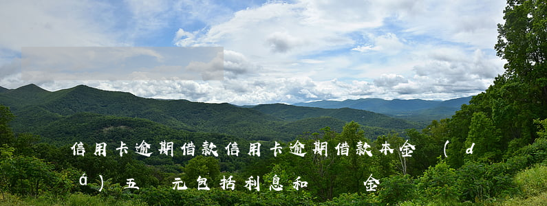 信用卡逾期借款(信用卡逾期借款本金達(dá)五萬元包括利息和違約金嗎)