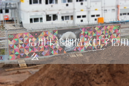 信用卡逾期借款口子(信用卡逾期借款口子怎么辦)