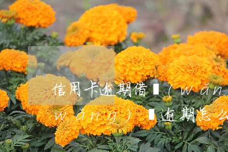 信用卡逾期借網(wǎng)貸(信用卡網(wǎng)貸逾期怎么處理方法)