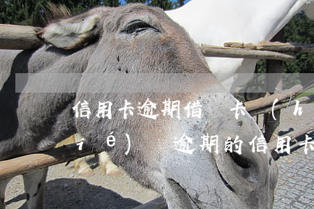 信用卡逾期借記卡會(huì)被凍結(jié)嗎(逾期的信用卡被凍結(jié)了還能用嗎)