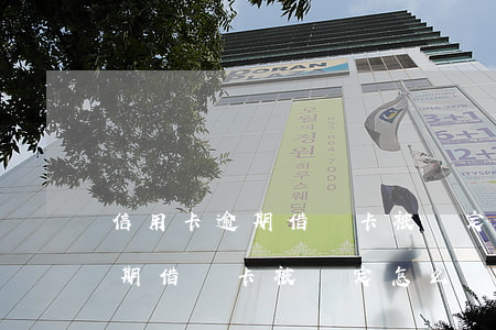 信用卡逾期借記卡被鎖定怎么辦-信用卡逾期借記卡被鎖定怎么辦理