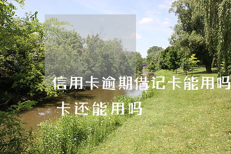 信用卡逾期借记卡能用吗(信用卡逾期了储蓄卡还能用吗)