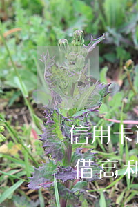 信用卡逾期借高利貸還會被抓嗎（信用卡逾期借高利貸還）