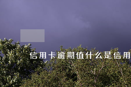 信用卡逾期值(什么是信用卡逾期)