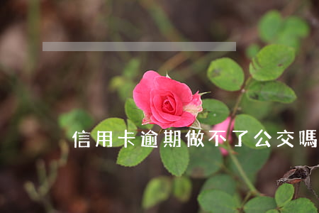 信用卡逾期做不了公交嗎 交通卡逾期