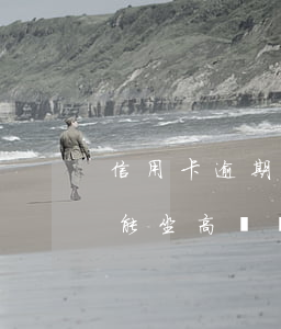 信用卡逾期做不了高鐵怎么辦(欠信用卡逾期能坐高鐵嗎)