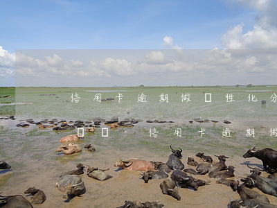 信用卡逾期做個性化分期還收手續(xù)費嗎-信用卡逾期做個性化分期還收手續(xù)費嗎
