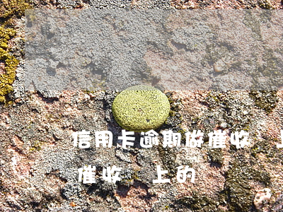信用卡逾期做催收會上的講話（信用卡逾期做催收會上的講話）