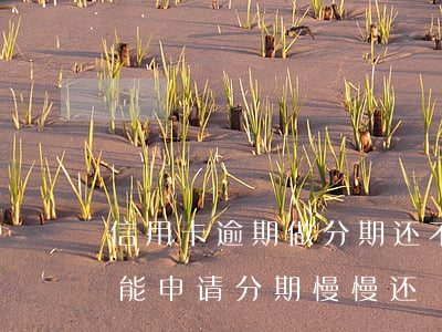 信用卡逾期做分期还不上(信用卡逾期了能不能申请分期慢慢还)