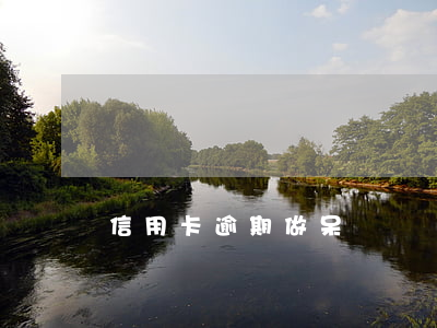 信用卡逾期做呆賬