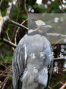 信用卡逾期做戶籍調(diào)查-90后信用卡逾期調(diào)查