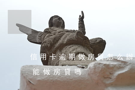 信用卡逾期做房貸怎么辦(征信信用卡有逾期能做房貸嗎)