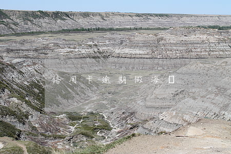 信用卡逾期做海員