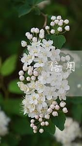 信用卡逾期做牢(信用卡逾期做牢嗎)