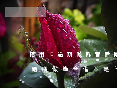 信用卡逾期做錄音備案是什么意思-信用卡逾期做錄音備案是什么意思啊