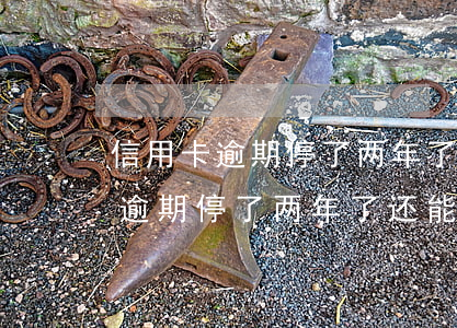 信用卡逾期停了两年了还能开通吗-信用卡逾期停了两年了还能开通吗安全吗
