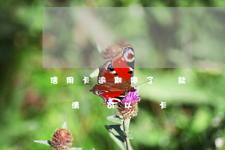 信用卡逾期停了還能開嗎(逾期封卡的信用卡還清還可以開卡嗎?)