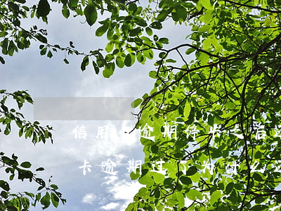 信用卡逾期停卡之后还能申办吗(以前用信用卡逾期过了为什么还能办信用卡)