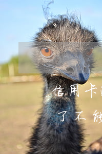 信用卡逾期停卡了不能还款(信用卡逾期停卡了不能还款了吗)