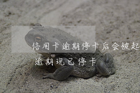 信用卡逾期停卡后会被起诉坐牢吗(我信用卡逾期现已停卡)