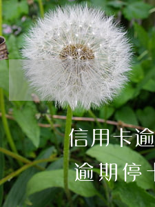 信用卡逾期停卡后可以慢慢还款吗-信用卡逾期停卡后可以慢慢还款吗知乎