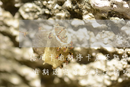 信用卡逾期停卡后还能恢复么(停用的信用卡逾期还完了应该注销吗)